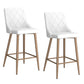 !nspire - Antoine Counter Stool - Set of 2