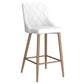 !nspire - Antoine Counter Stool - Set of 2